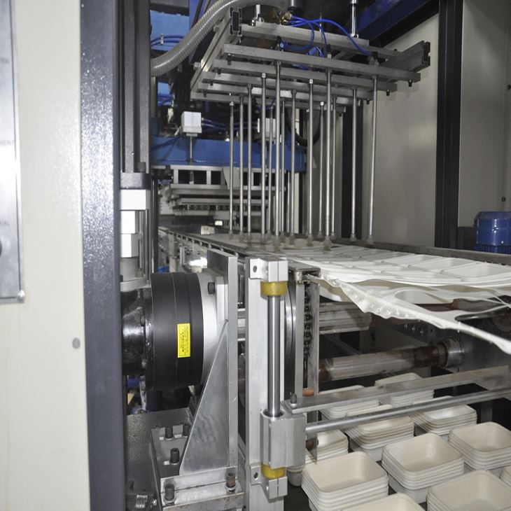 PVC Thermoforming Machine for plastic containers